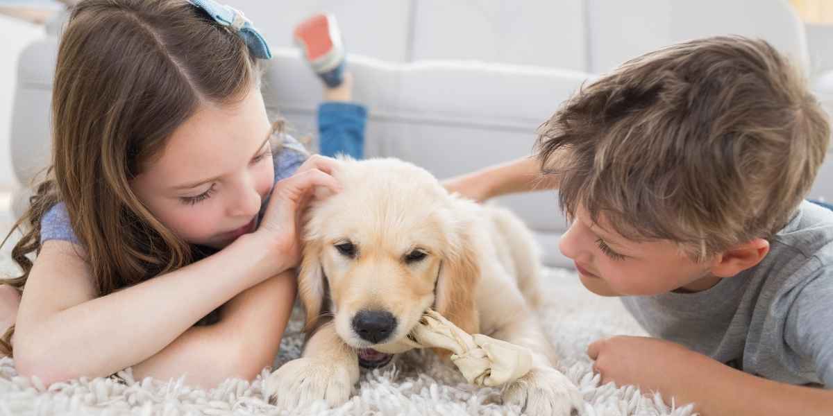 שטיח עם ילדים וכלב